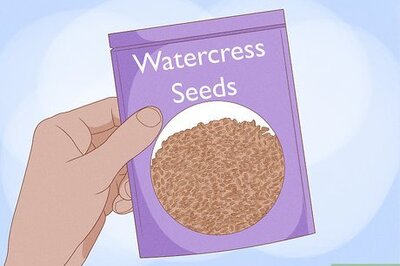 How to Grow Watercress
