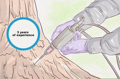 How to Become an ISA‐Certified Arborist