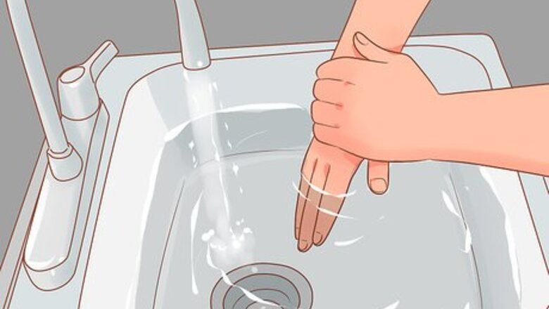 How to Pick up a Hamster for the First Time