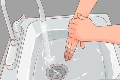 How to Pick up a Hamster for the First Time