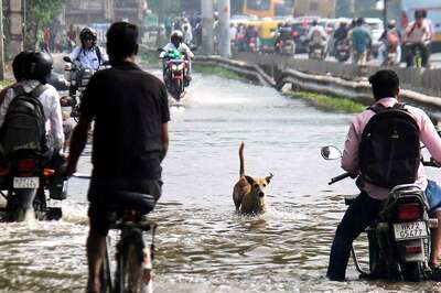 Brace For September Showers: IMD Predicts Above-Normal, Continuous Heavy Spells, Advises ‘Caution’