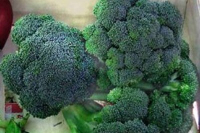 Broccoli reduces hereditary cancer risks