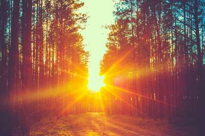 Aaj Ka Panchang, February 9, 2024: Tithi, Vrat, and Today’s Shubh, Ashubh Muhurat