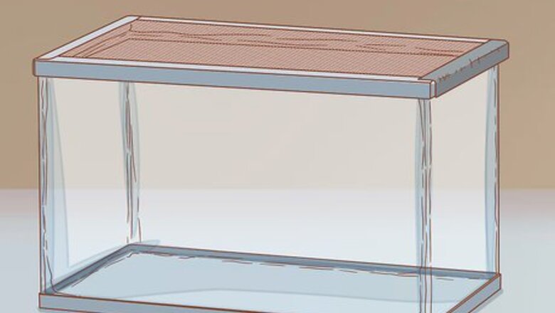 How to Care for Turtles