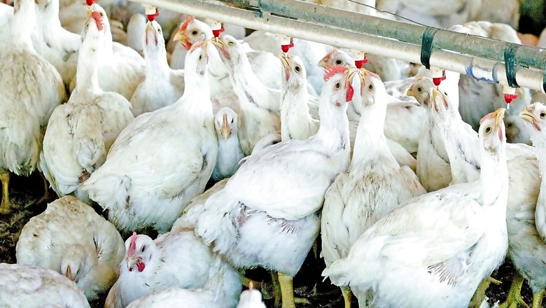 Restaurants, Shops To Mention Meat Is Halal Or Jhatka: North Delhi Civic Body