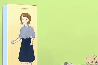 How to Calm a Hyperactive Dog