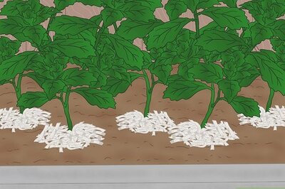 How to Recycle Paper