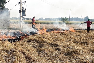 'No FIR Can Stop It': Stubble Burning Continues As Farmers' Dilemma Persists In Punjab, Solutions Seem 'Not Viable'