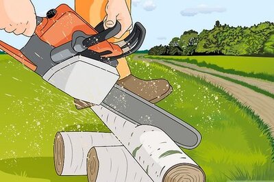 Tree Removal: Negotiating Tips, Cost Factors, Choosing a Company & More