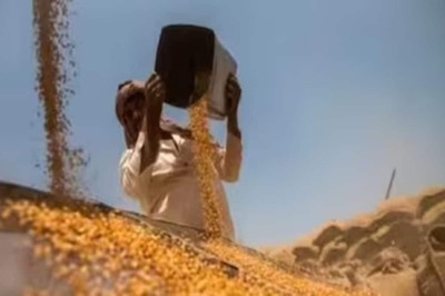 Wheat Prices Up 7%: Govt Says It Is Monitoring Prices, Says India Has Ample Wheat Stocks