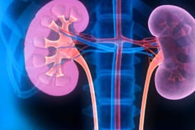 Stay Away From These 5 Things to Take Care of Your Kidneys