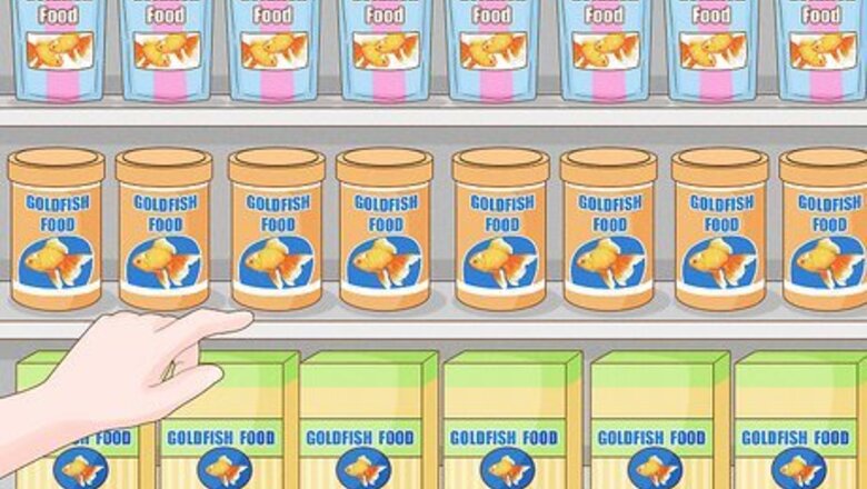 How to Feed Goldfish