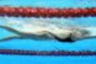 Swimming