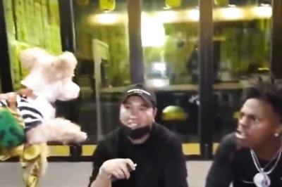 YouTube IShowSpeed Barks At Dog In South Korea. What Happens Next Is Shocking