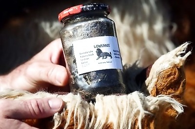 Big cats' droppings help German circus weather coronavirus crisis