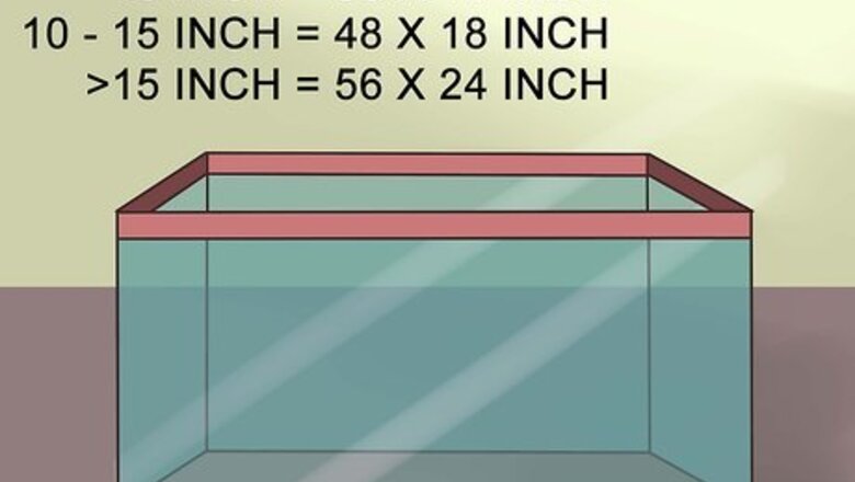 How to Care for Uromastyx Lizards