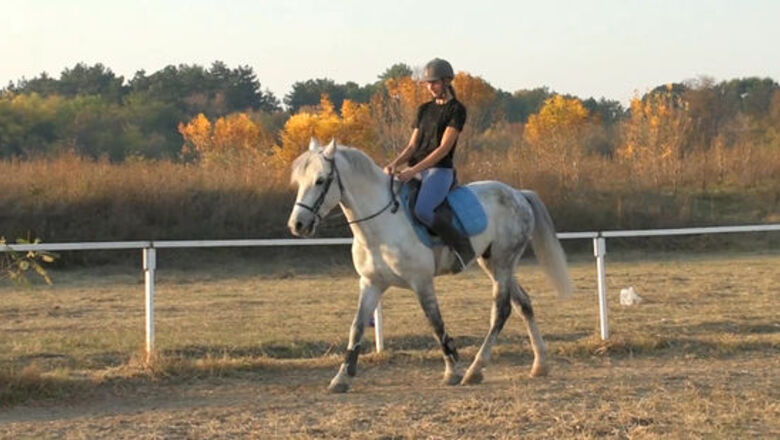 How to Sit the Canter Properly