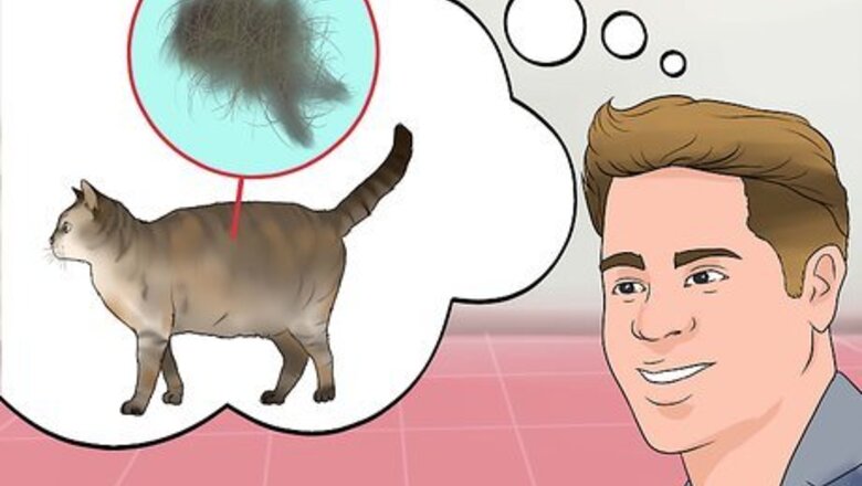 How to Spot Signs of Indoor Pollution
