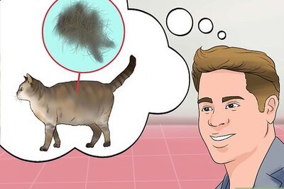 How to Spot Signs of Indoor Pollution