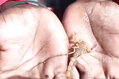 Residents Of This Karnataka Village Aren't Scared Of Scorpions; They Celebrate Them