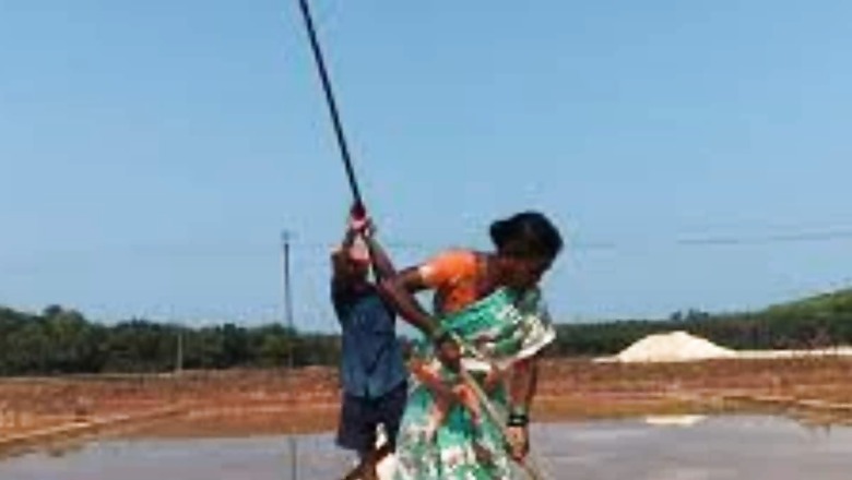 In This Uttara Kannada Community, Married Couples Manufacture Salt For Better Married Life