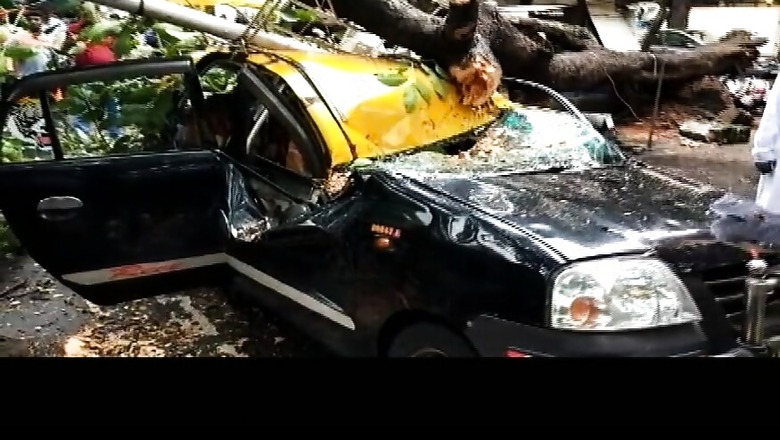 Day After Former DD Anchor's Death, Tree Falls on Taxi in Mumbai, Two Injured