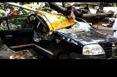 Day After Former DD Anchor's Death, Tree Falls on Taxi in Mumbai, Two Injured
