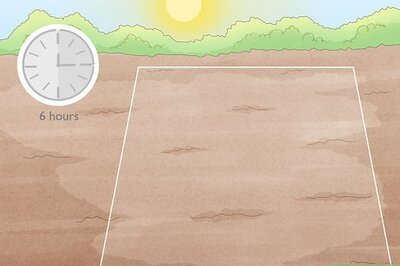 How to Create a Wildflower Garden