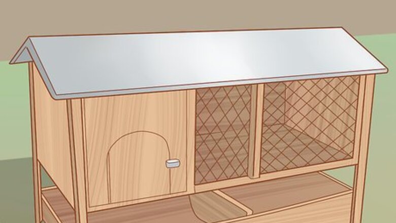 How to Get Quails to Lay Eggs
