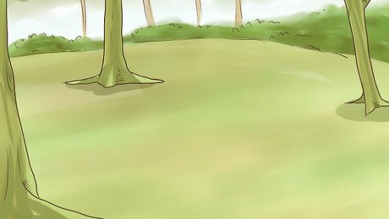 How to Build a Natural Shelter in the Jungle