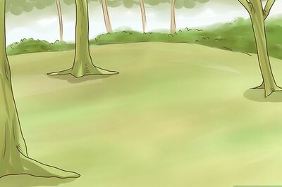 How to Build a Natural Shelter in the Jungle