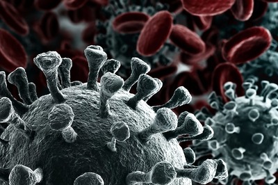 Covid-19 Variant Pirola One of the Most ‘Highly Immune Evasive’ Variants So Far, Finds Japanese Study