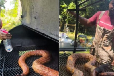Influencer Faces Backlash For Cooking And Eating 12-foot Python In Viral Video