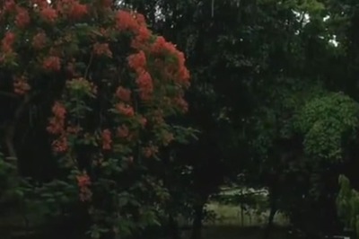 Relief from Scorching Heat As IMD Predicts Rainfall For Almost Entire Country | Check Forecast