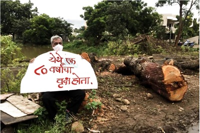 ​Rooted in History: Gandhi Kin Urge Govt 'With Folded Hands' to Stop Felling of Trees Near Sevagram Ashram