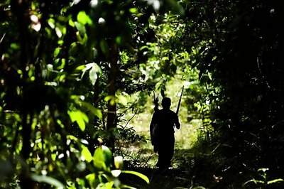 Amazon Indigenous Group Patrols To Expel Invading Loggers