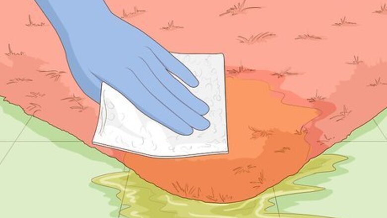 How to Remove Urine Smell from Carpet