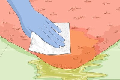 How to Remove Urine Smell from Carpet