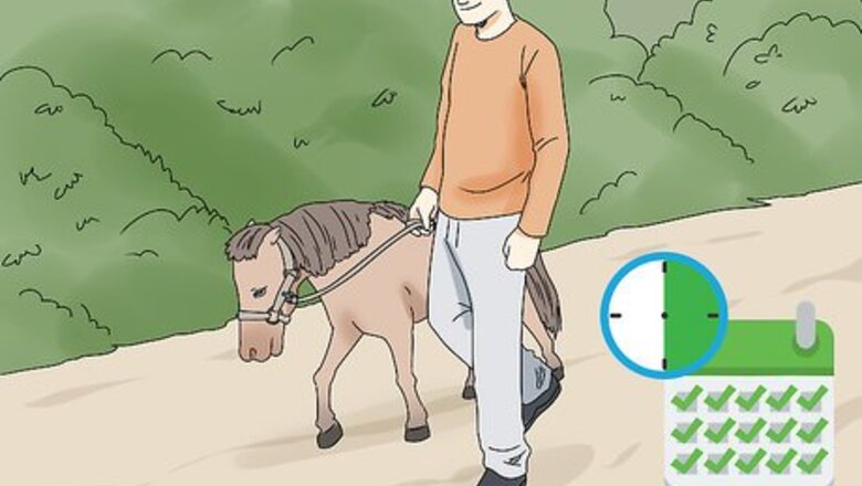 How to Keep a Miniature Horse Fit