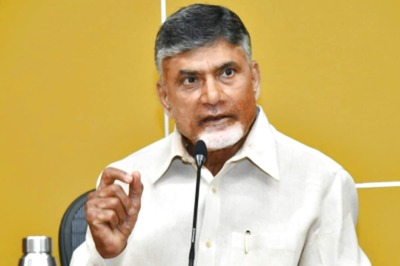 TDP Leader's Convoy Attacked in Andhra, Suffers Head Injury; Party Chief Demands Arrest of Accused