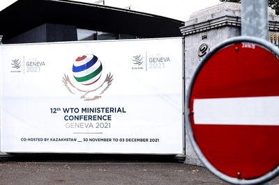 India Seeks Emergency Meeting of WTO's General Council This Month to Discuss Covid Package