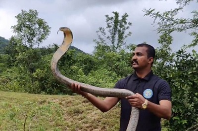 Video Of Man Holding King Cobra Over Head Will Send Shivers Down Your Spine