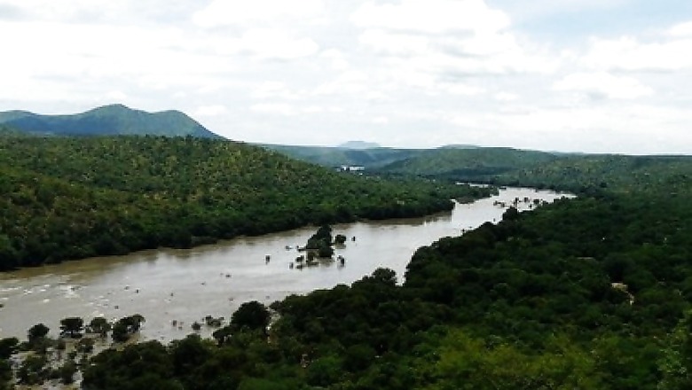 Rally For Rivers to Plant 11 Million Saplings in 2020 Under Cauvery Calling Initiative
