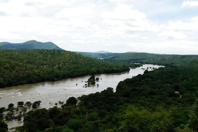 Rally For Rivers to Plant 11 Million Saplings in 2020 Under Cauvery Calling Initiative