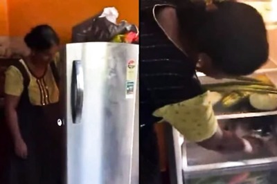 Watch: Amid Scorching Heat, Siberian Husky Seeks Refuge In Fridge