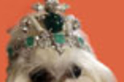 Dog gets his day, and $4.2 mn designer tiara