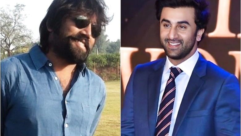 Massive Buzz Around Ranbir Kapoor's Heroine in Sandeep Reddy Vanga Directorial