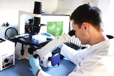 WHO says Ebola vaccine plans accelerating as trials advance