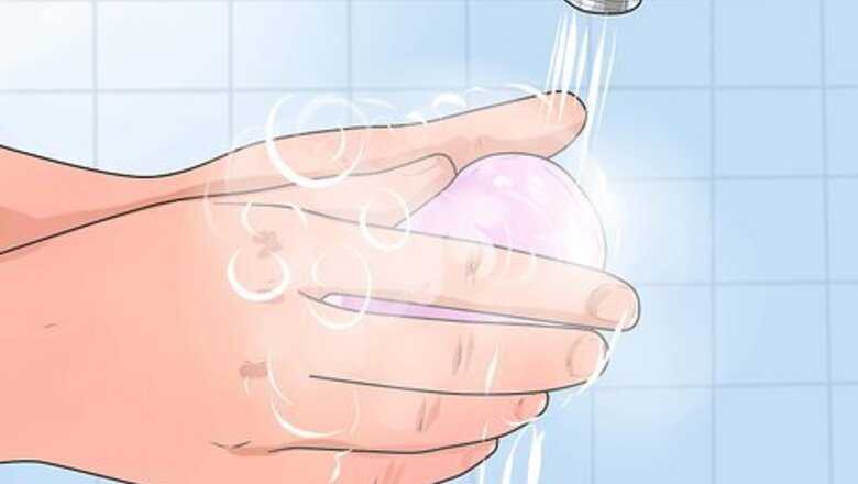 How to Hold a Bearded Dragon