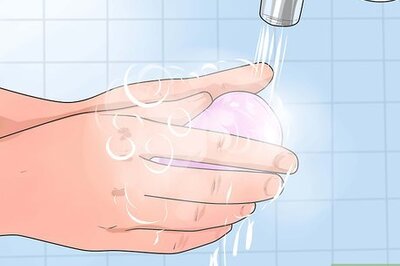 How to Hold a Bearded Dragon